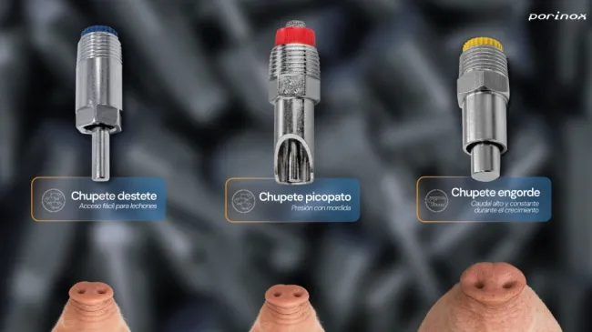 Los sistemas de bebida Porinox se adaptan a las necesidades de cada ex...