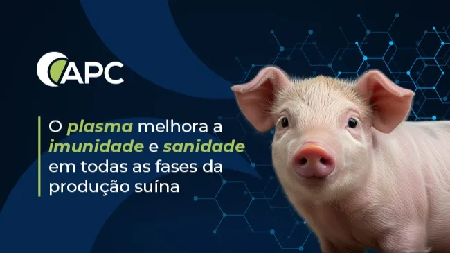 O plasma melhora a imunidade e sanidade em todas as fases da produção suína