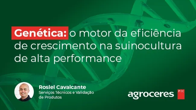 Genética: o motor da eficiência de crescimento na suinocultura de alta performance