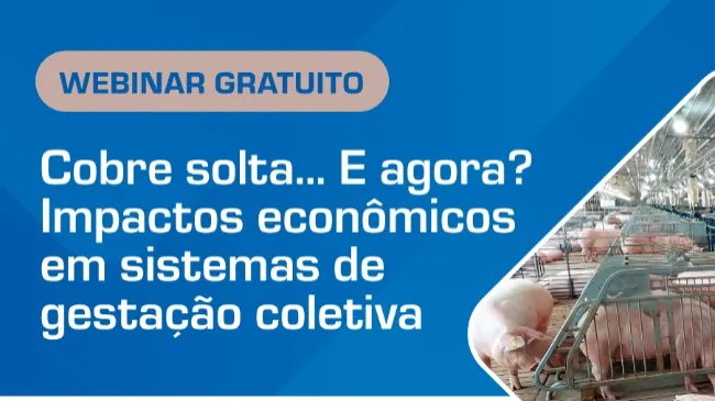 Cobre e solta... E agora? Impactos econômicos em sistemas de gestação coletiva