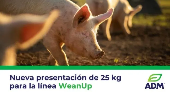 Nueva presentación de 25 kg para la línea WeanUp: más producto, misma calidad
