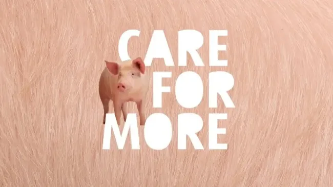 Care for more potential