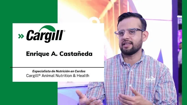 Tecnología de Cargill: más oxígeno, menos mortalidad y mejor rentabilidad en porcicultura