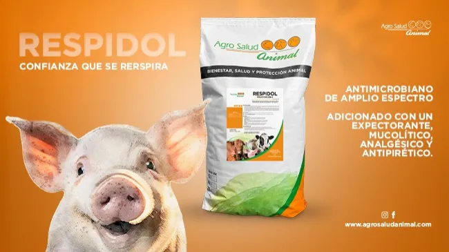 Respira tranquilo con Respidol: el aliado del productor porcino.