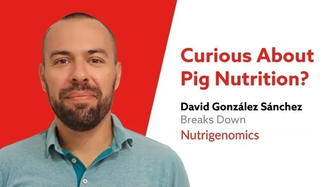 Nutrigenomics: How Nutrition Shapes Gene Expression and Animal Performance