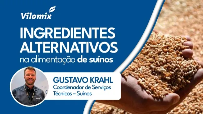Ingredientes alternativos na alimentação de suínos