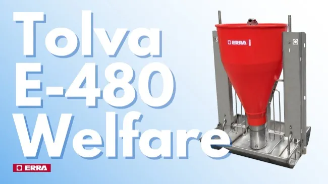 Tolva de engorde E-480 welfare BASIC