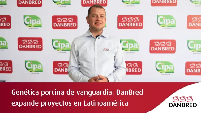 DanBred Latinoamérica: genética de vanguardia y multiplicación local para mayor productividad