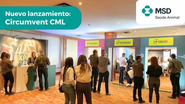 Gran lanzamiento en el 333 Experience Congress 2025: Circumvent CML, la Nueva Vacuna 3 en 1 que Revoluciona la Porcicultura