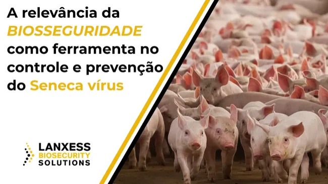 A relevância da biosseguridade como ferramenta no controle e prevenção do Seneca vírus