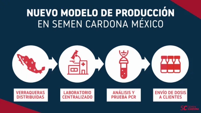 Transformación en Semen Cardona México: nueva red de verraqueras y control centralizado con SC360