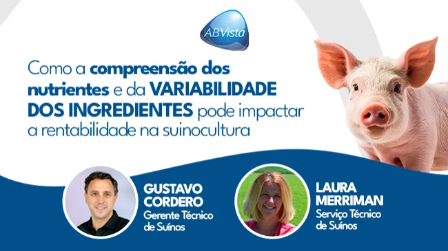 Como a compreensão dos nutrientes e da variabilidade dos ingredientes pode impactar a rentabilidade na suinocultura