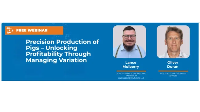 New opportunity to review - "Precision Production of Pigs – Unlocking Profitability Through Managing Variation"