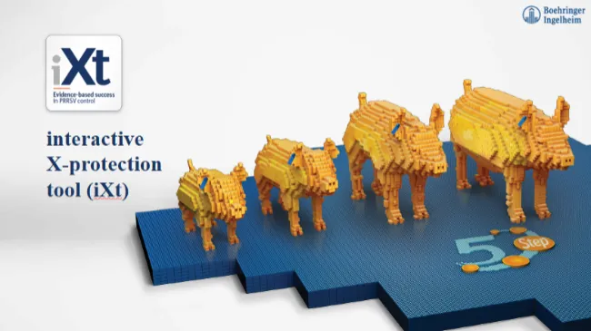 Interactive X-protection tool. The power to X-protect