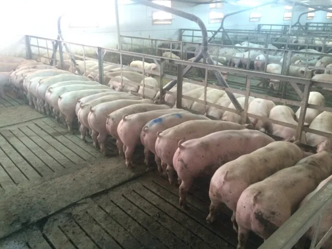 Liquid feeding system! 