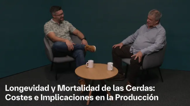 Longevidad y mortalidad: el impacto oculto en la producción porcina