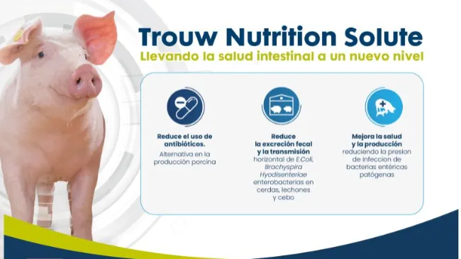 Llevando la salud intestinal a un nuevo nivel