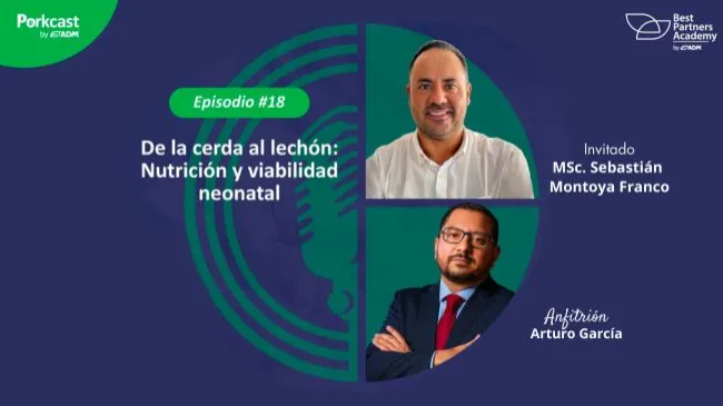 Episodio #18 del PorkCast by ADM: De la cerda al lechón, nutrición y viabilidad neonatal