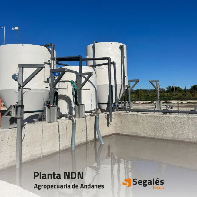 🚀 𝗧𝗲𝗰𝗻𝗼𝗹𝗼𝗴í𝗮 𝗡𝗗𝗡 𝗽𝗮𝗿�...
