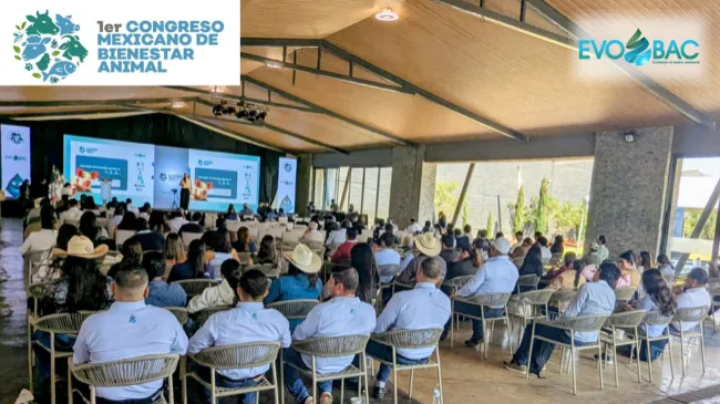 México impulsa un hito nacional con el 1er Congreso Mexicano de Bienestar Animal