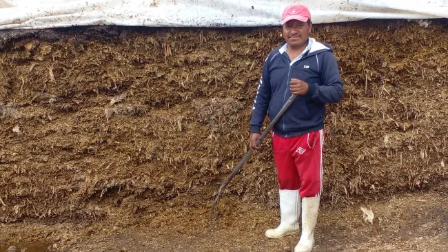 Altosano Granjas Carroll impulsa rotación de cultivos y producción forrajera