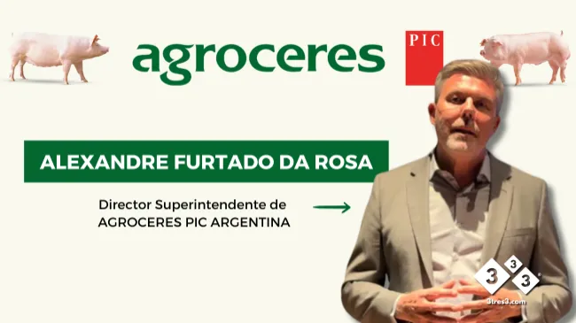 Agroceres PIC analizó las tendencias globales y el potencial de crecimiento para la porcicultura argentina y latinoamericana