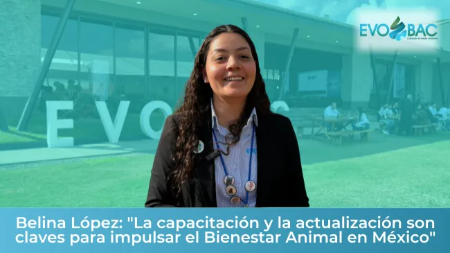 Belina López: "La Capacitación y Actualización Son Claves para el Bienestar Animal en México"