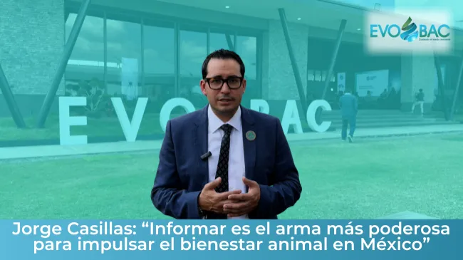 Jorge Casillas: el reto y la oportunidad del bienestar animal en México
