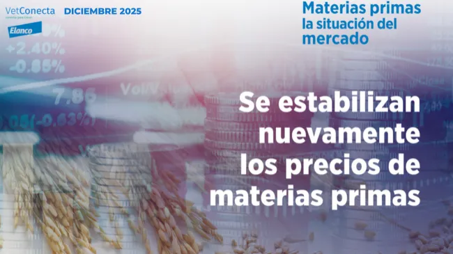 Materias primas - La situación del mercado en diciembre 2025