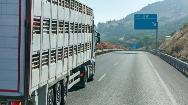 ANTA solicita medidas excepcionales para apoyar a los transportistas