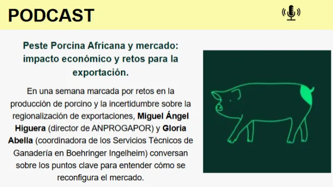 Peste Porcina Africana y mercado: impacto económico y retos para la exportación.