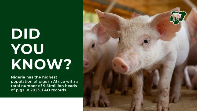 According to the 2023 pig population data from the food and agricultur...