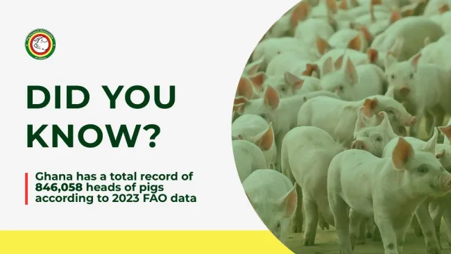 According to the 2023 pig population data from the Food and Agricultur...