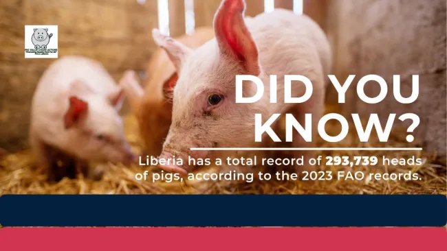 According to the 2023 pig population data from the Food and Agricultur...