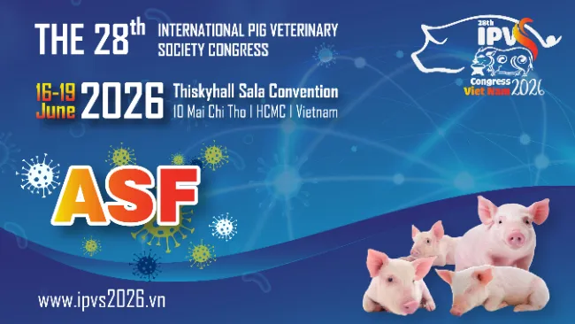 WOAH: African Swine Fever Confirmed in Spain After Three Decades