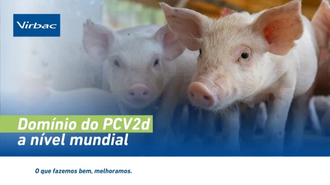 Domínio do PCV2d a nível mundial
