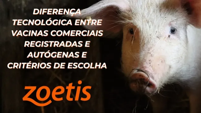 Zoetis reforça a diferença tecnológica entre vacinas comerciais registradas e autógenas e alerta produtores sobre critérios de escolha