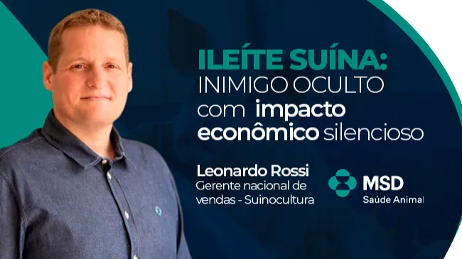 MSD Saúde Animal alerta sobre como Ileíte Suína é um "inimigo oculto" nas granjas e gera impacto econômico silencioso