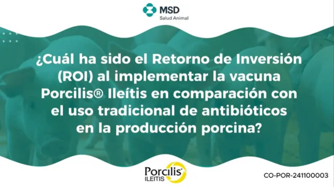 Rentabilidad de la inversión (ROI) al implementar la vacuna Porcilis Ileítis