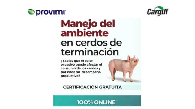 Curso gratuito: cómo manejar el ambiente en granjas porcinas frente al estrés térmico del verano