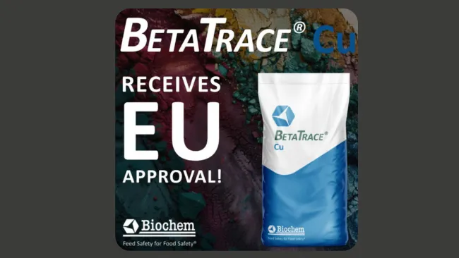 🧩 𝗘𝗹 𝗣𝘂𝘇𝘇𝗹𝗲 𝗲𝘀𝘁𝗮 𝗖𝗢𝗠𝗣𝗟𝗘𝗧𝗢: 𝗕𝗲𝘁𝗮𝗧𝗿𝗮𝗰𝗲® 𝗖𝘂 𝗥𝗲𝗰𝗶𝗯𝗲 la 𝗔𝗽𝗿𝗼𝗯𝗮𝗰𝗶𝗼́𝗻 𝗱𝗲 𝗘𝗨!