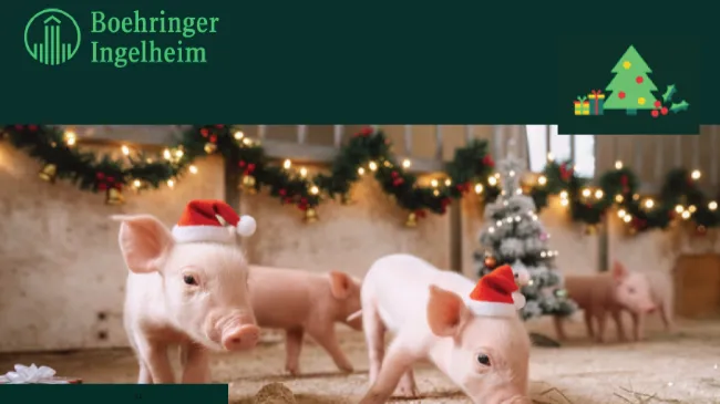 ¡Felices fiestas!