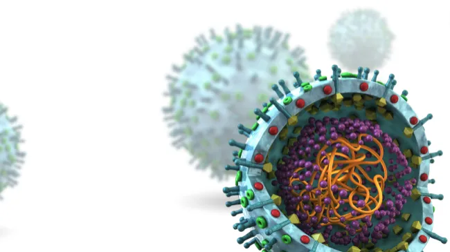 Understanding the practical value:  Genotyping PRRSv
