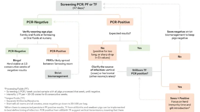 Understanding the practical value:    Clever & Convenient PRRSv Monitoring