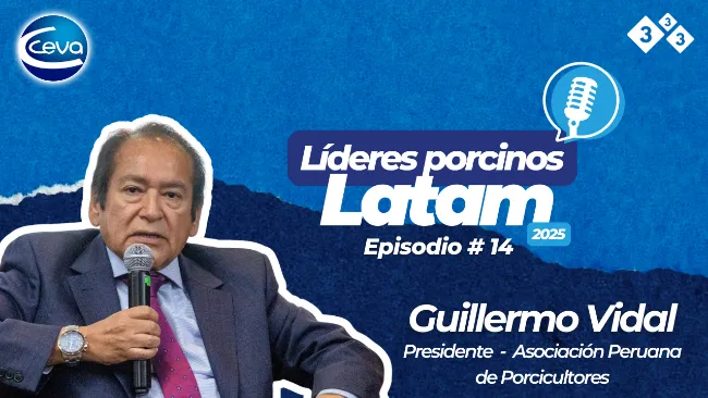 Porcicultura peruana: liderazgo, gremio y productividad