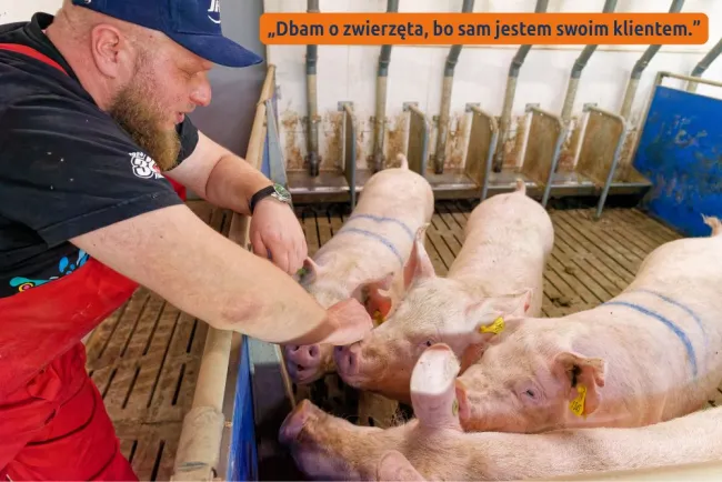 🎥 600 loch, własna ubojnia i jeden cel: jakość.