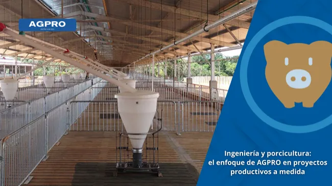 AGPRO y los proyectos especiales en porcicultura: ingeniería, bioseguridad y eficiencia productiva