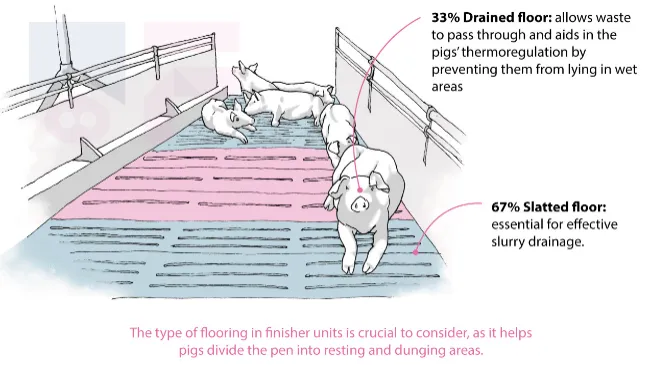 Infographics: Drained flooring