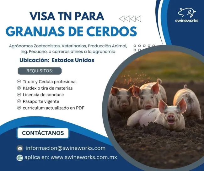 envia tu cv a cristel.madrigal@swineworks.com 