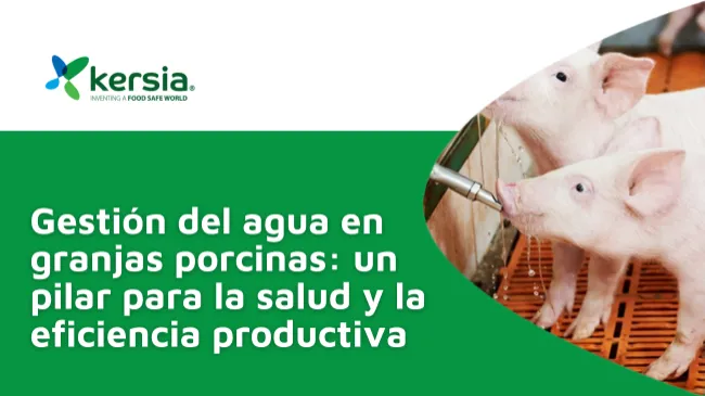 Control del agua en las producciones porcinas: un pilar para la salud animal y la rentabilidad.